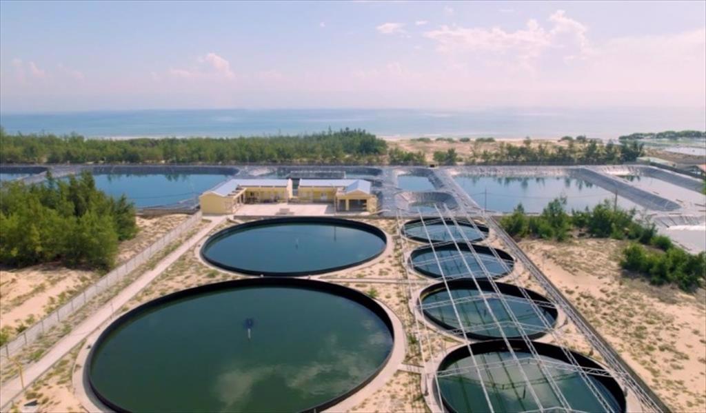 Phát triển kinh tế biển Không đánh bắt tận diệt, chuyển dần sang nuôi biển