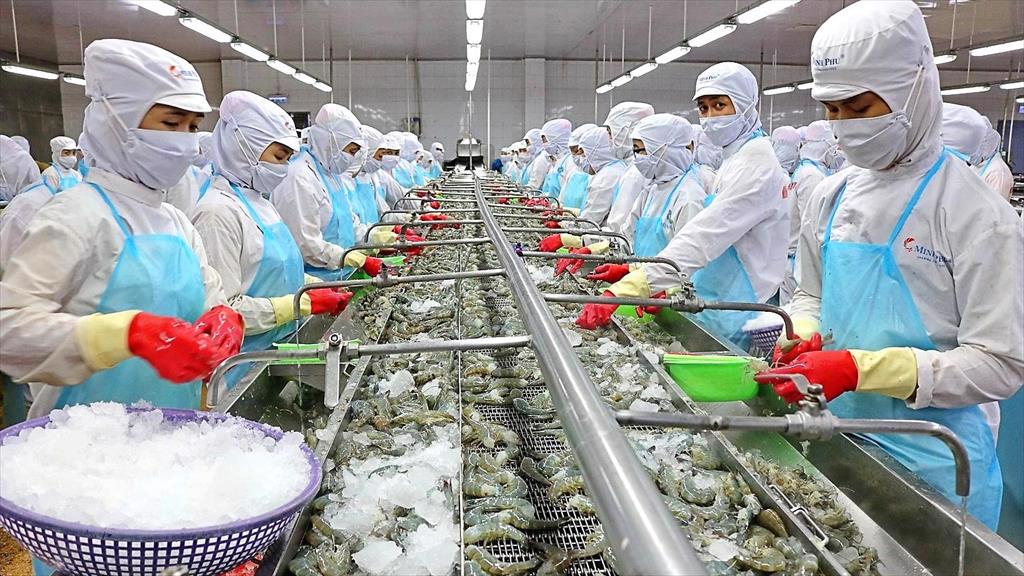 “Vua tôm” Thủy sản Minh Phú (MPC) đặt mục tiêu lãi ròng cao nhất 16 năm