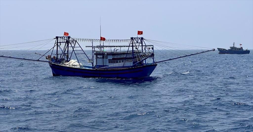 Ngư dân Bình Thuận bắt đầu vào vụ cá nam