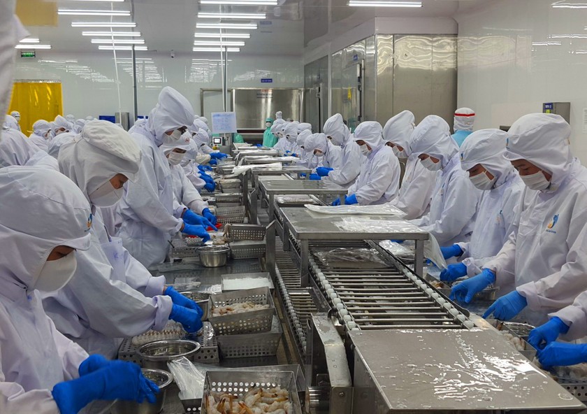 Xuất khẩu tôm có thể tiếp đà tăng trưởng trong quý 22024