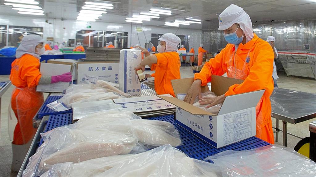 Navico expects its profit hit 8-fold increase in 2024