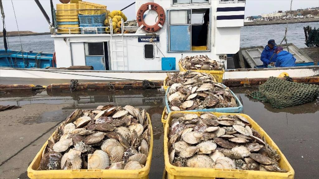 Nhật Bản Sản lượng thủy sản ngày càng suy giảm 