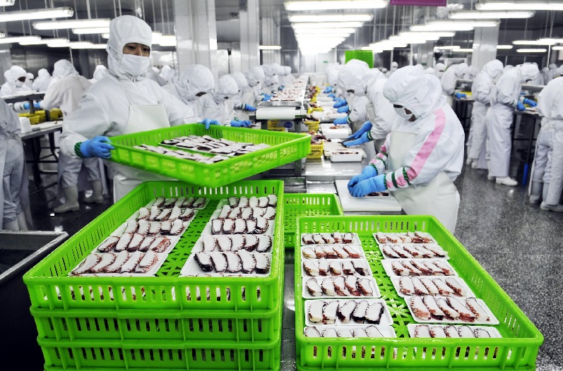 Xuất khẩu thủy sản Trung Quốc khó khăn do cước vận tải biển tăng cao 