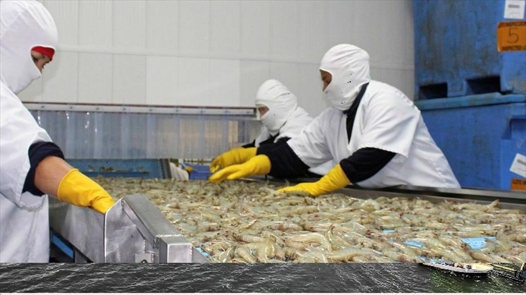 Trung Quốc dỡ bỏ lệnh cấm với 9 nhà xuất khẩu tôm của Ecuador