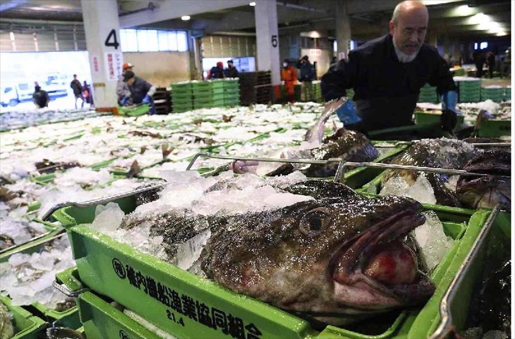 Tiêu thụ thủy sản bình quân đầu người của Nhật Bản đạt mức thấp kỷ lục