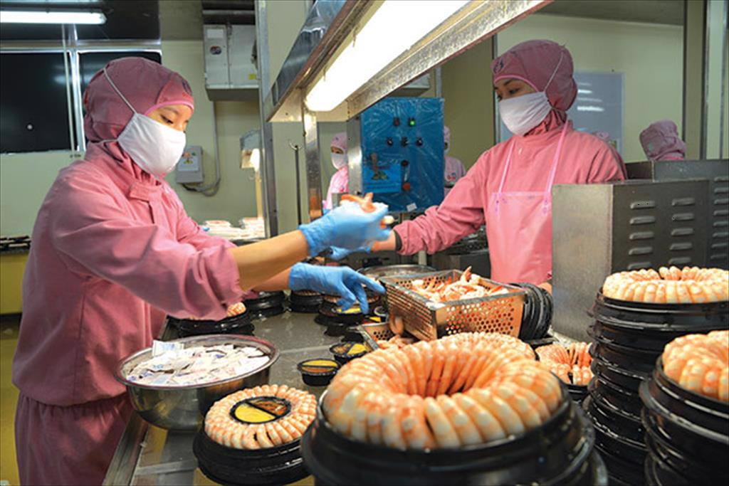 Infographic Xuất khẩu tôm Việt Nam 5 tháng đầu năm 2024