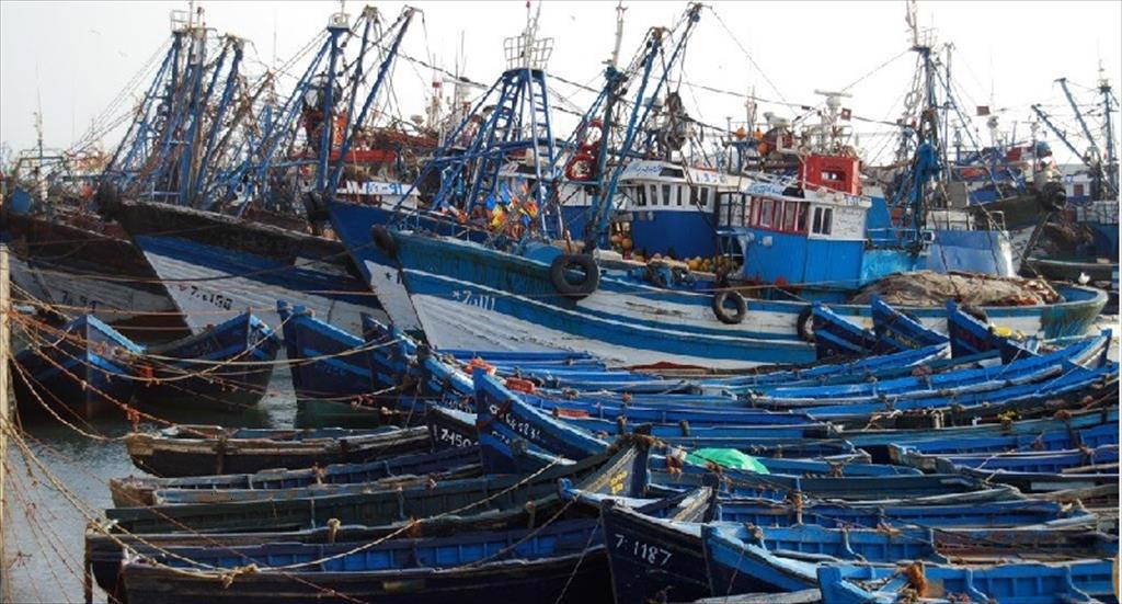 Nga chấp thuận sản lượng cá nổi tự nhiên 50.000 tấn ở vùng biển Morocco 