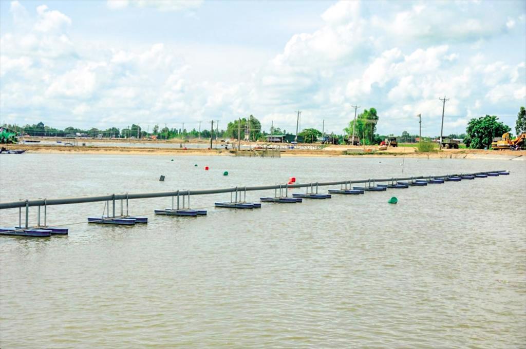 Transforming An Giang into the Mekong Deltas pangasius  seed capital A vision for aquaculture development of Vietnam 