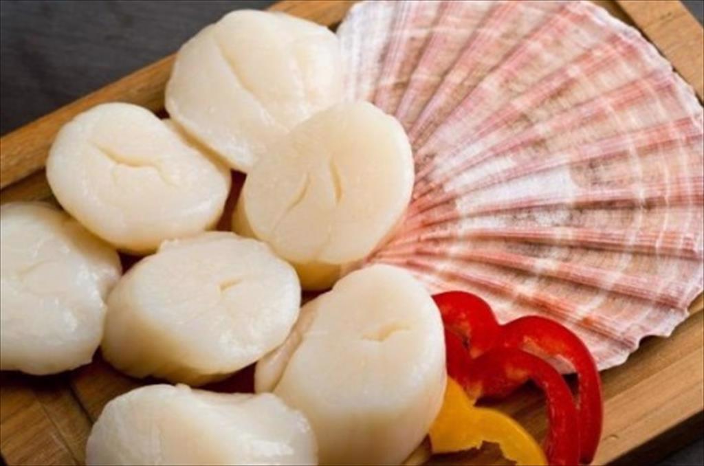 Mỹ Giá sò điệp cỡ lớn tăng mạnh 