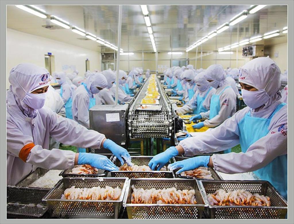 VASEP gửi báo cáo tới Văn phòng Chính phủ về những vướng mắc, kiến nghị của DN thủy sản trong quý 22024 