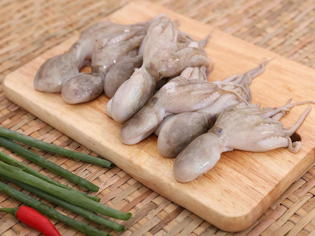 Infographic Xuất khẩu mực và bạch tuộc của Việt Nam 5 tháng đầu năm 2024