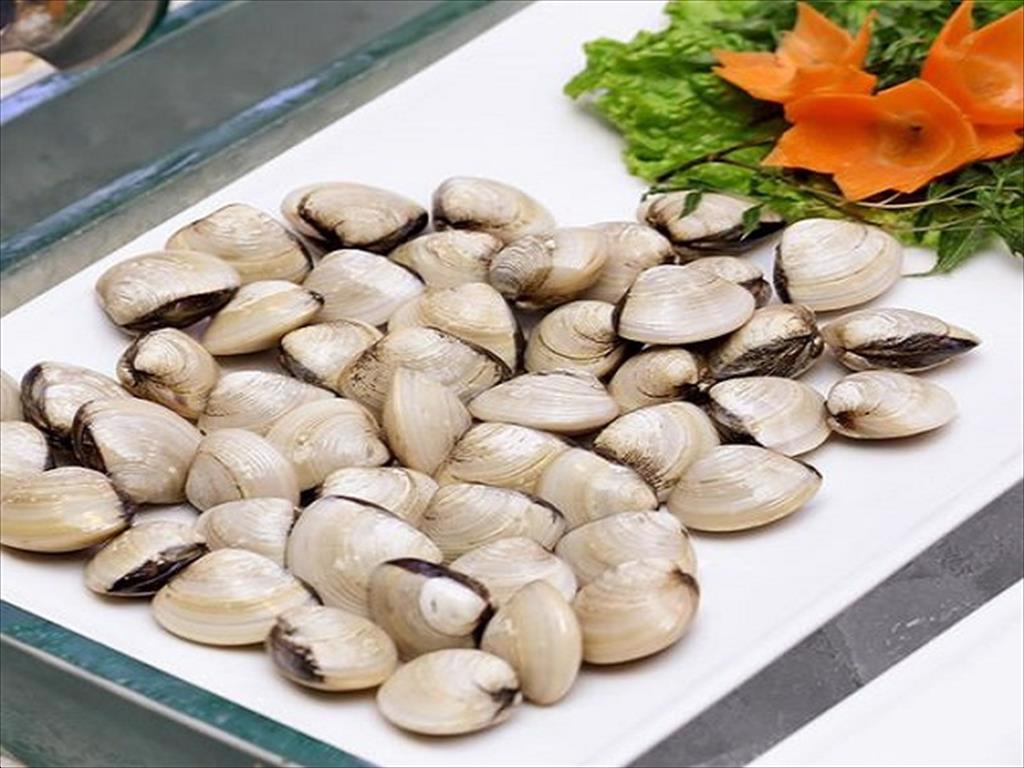 Infographic Xuất khẩu nhuyễn thể có vỏ của Việt Nam 5 tháng đầu năm 2024