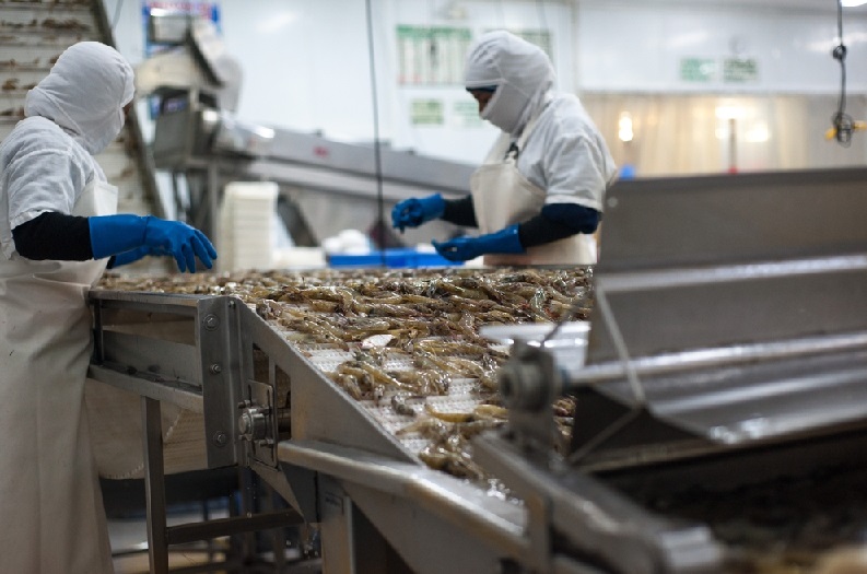 Lợi nhuận của Expalsa (Ecuador) giảm 30% trong năm 2023 