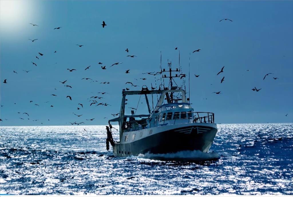 Thông tin về Chương trình Chứng nhận Khai thác Nhật Bản theo Quy định IUU của EU (Số 10052008) 