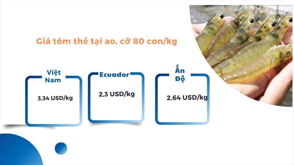 Giá thủy sản sụt giảm tác động đến xuất khẩu thủy sản Việt Nam 