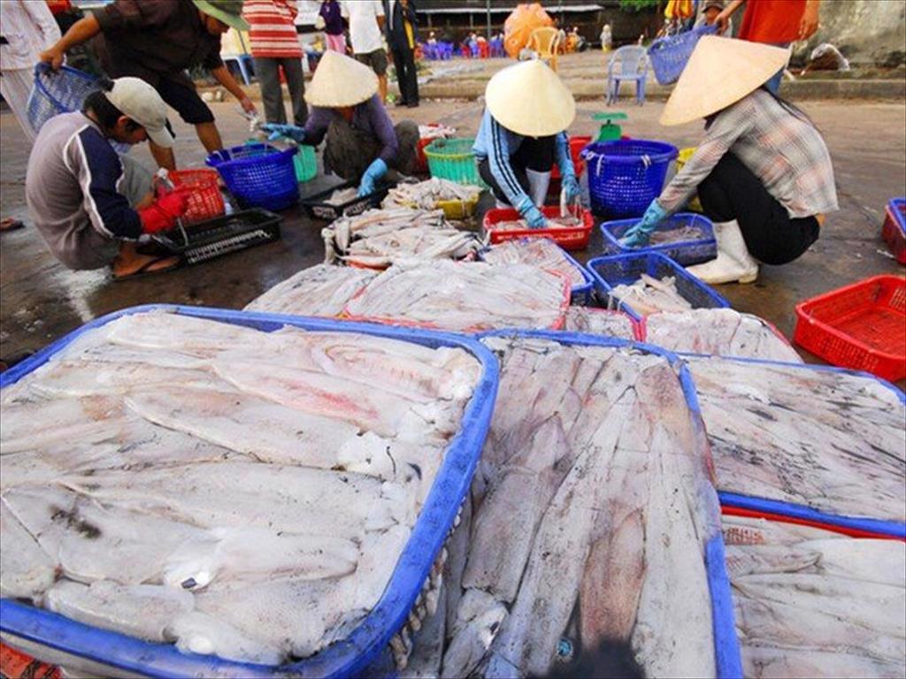 HEADWAY JSC tăng trưởng phi mã sản lượng vận chuyển mực, bạch tuộc sang Mỹ