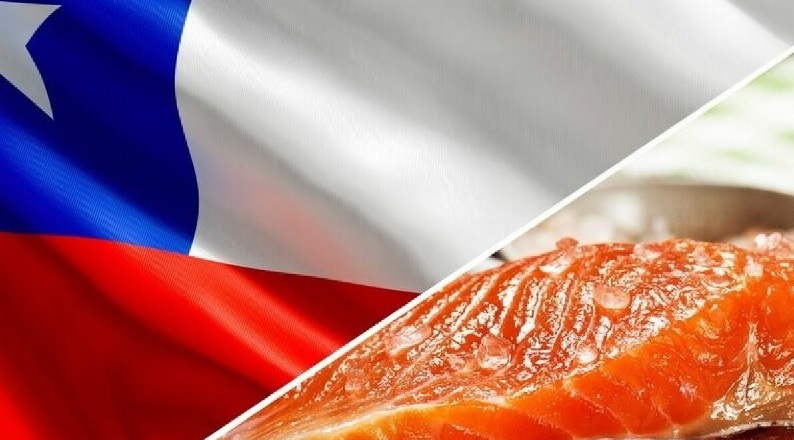 Chile Xuất khẩu dầu cá, tảo và cá hồi giảm mạnh