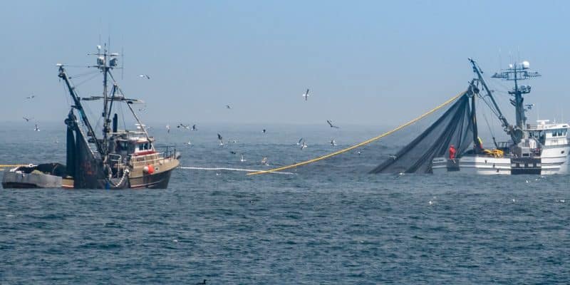 FAO kết thúc thành công giai đoạn đầu của chương trình chống khai thác IUU ở Guinea