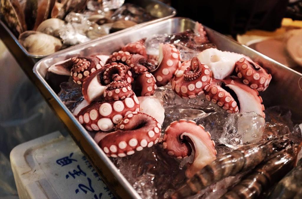 Maroc tăng 19% hạn ngạch khai thác bạch tuộc vụ kế tiếp 