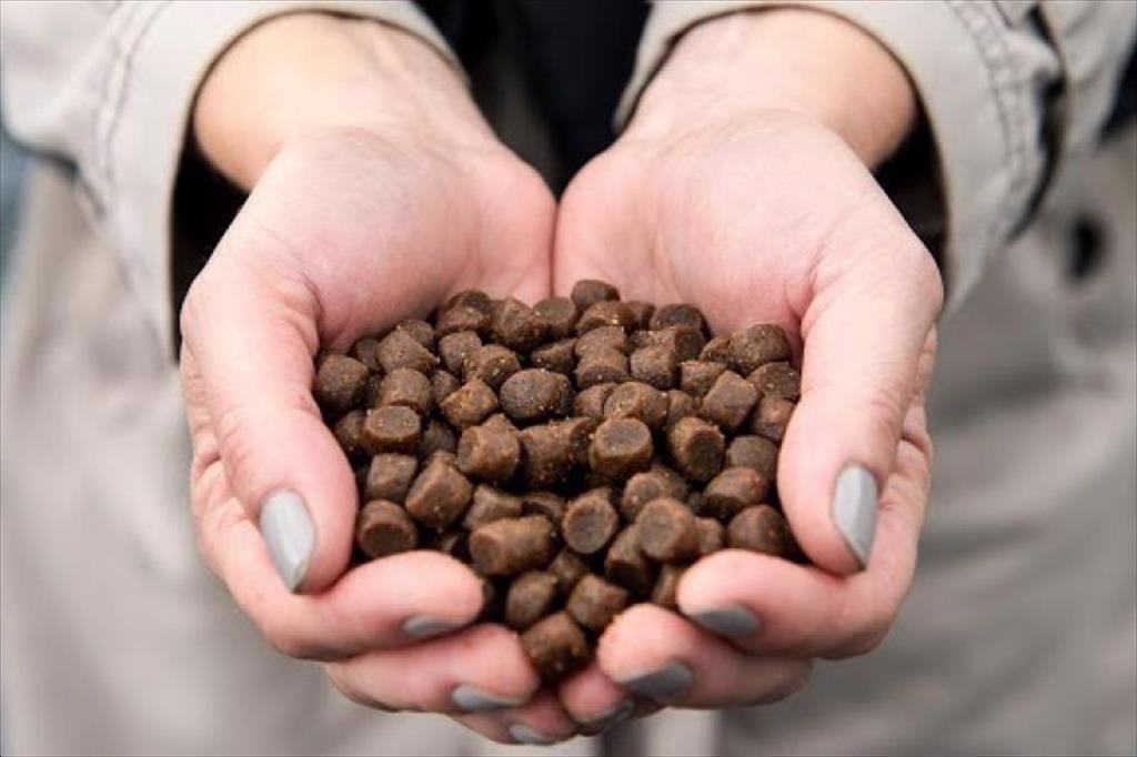 Hướng tới đánh giá toàn diện về thức ăn nuôi trồng thủy sản 