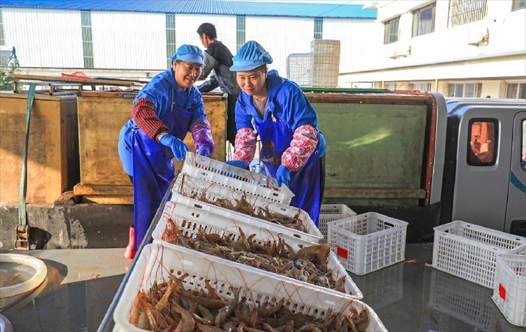 Trung Quốc Thương mại thủy sản giảm sâu 