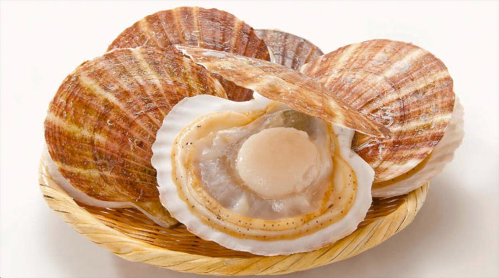 Xuất khẩu sò điệp của Nhật Bản sang Mỹ, Đài Loan và Đông Nam Á tăng vọt