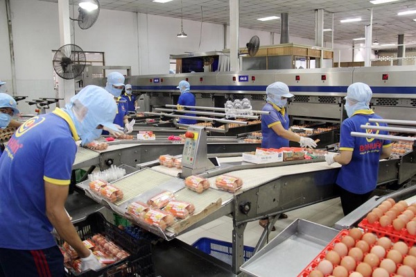 Doanh nghiệp mong muốn đẩy nhanh tiến độ sửa đổi 1 số nội dung thuộc Nghị định 092016NĐ-CP về tăng cường vi chất dinh dưỡng vào thực phẩm  