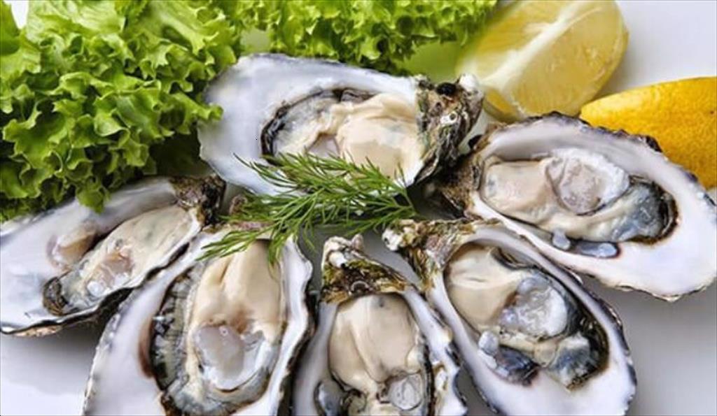 Xuất khẩu hàu tiếp đà tăng trưởng