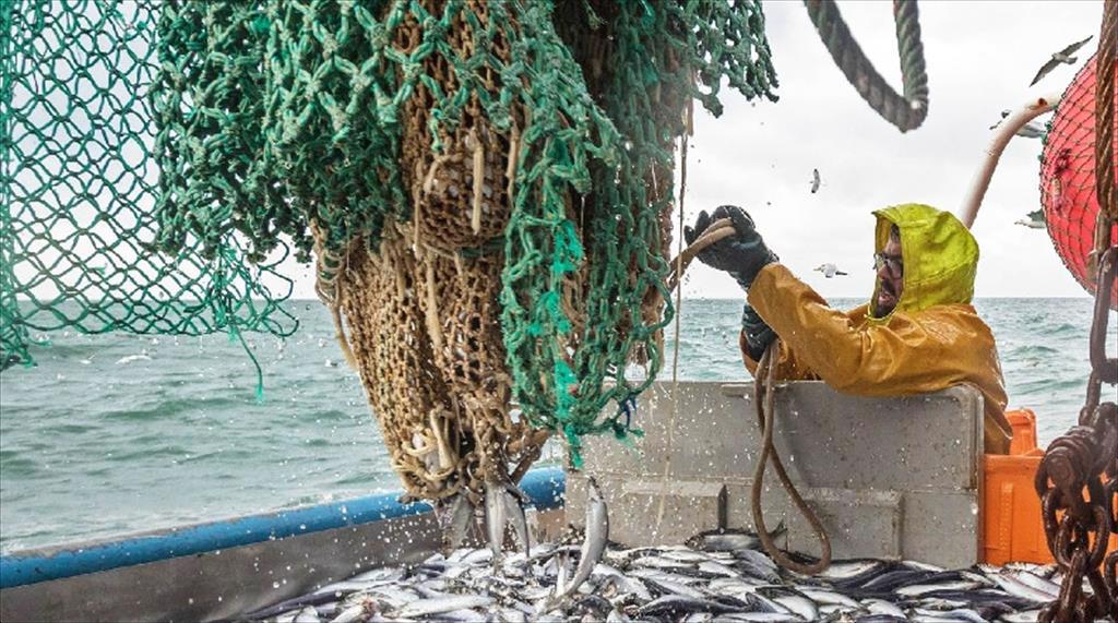 Thượng nghị sĩ Hoa Kỳ chỉ trích MSC vì tiếp tục hiện diện ở Nga  