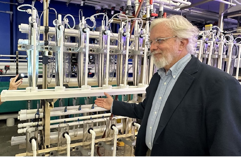 Mỹ Xây dựng trung tâm nhân giống hàu mới 