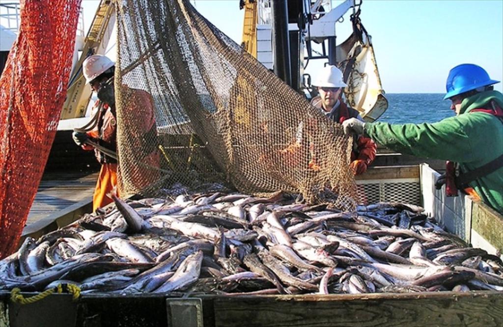 Hàn Quốc Nhập khẩu 4.000 tấn thủy sản có liên quan đến lao động cưỡng bức từ Trung Quốc 