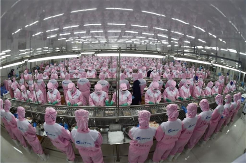 Chính phủ giao các Bộ giải quyết sớm 3 kiến nghị của VASEP