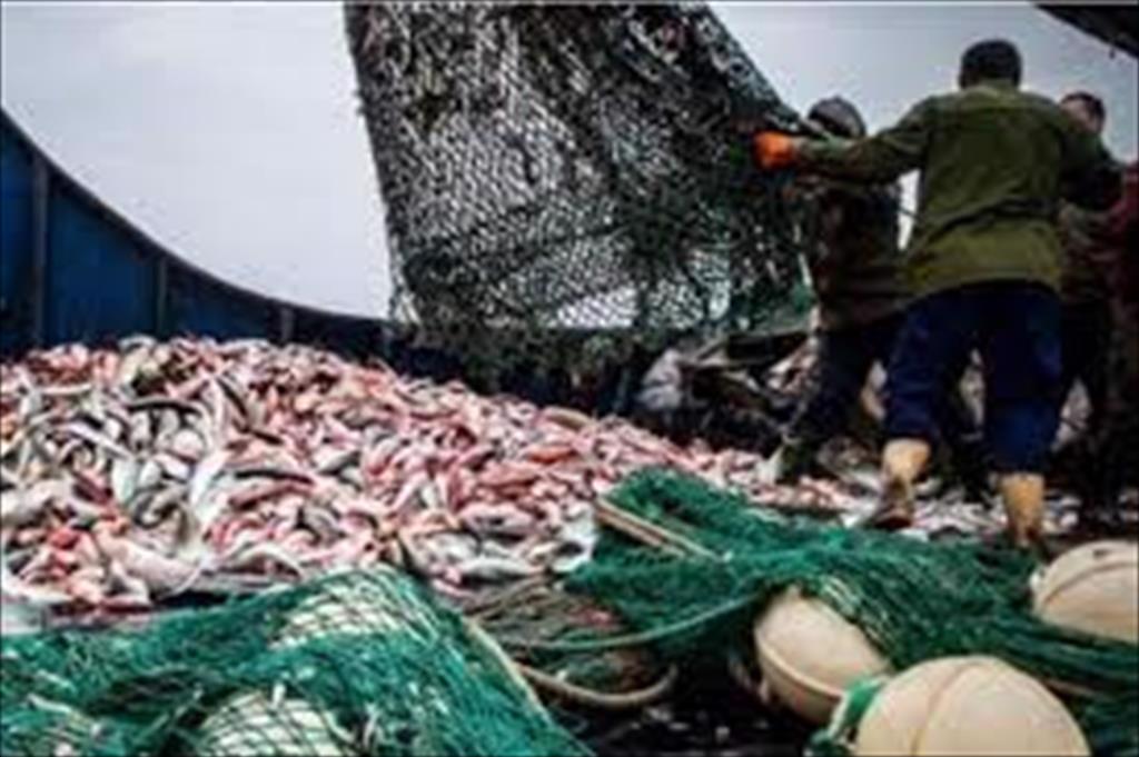 Cameroon trấn áp nạn đánh bắt bất hợp pháp dưới áp lực của EU