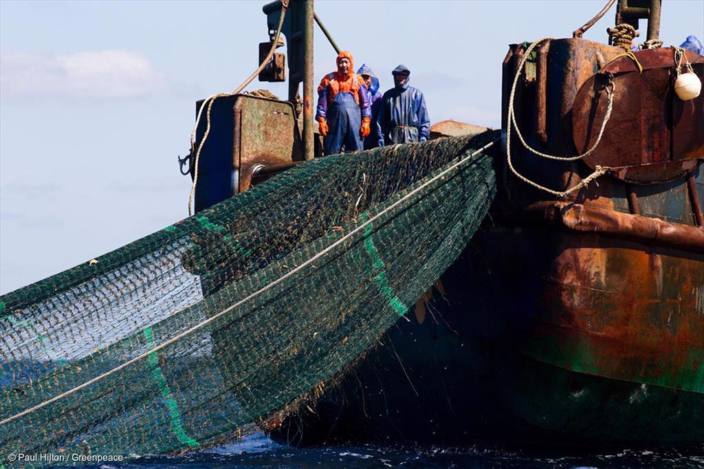 Ghana thực hiện các bước để loại bỏ những lo ngại của EU về hoạt động đánh bắt cá bất hợp pháp