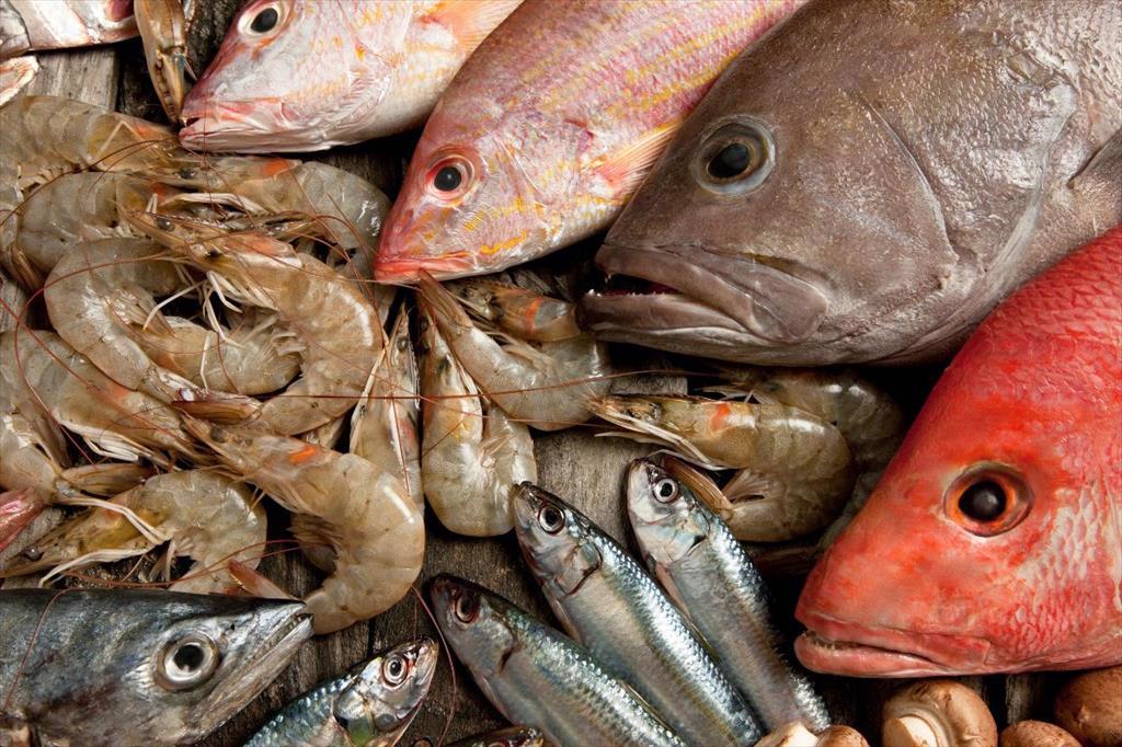 Infographic Xuất khẩu thủy sản của Việt Nam 6 tháng đầu năm 2024