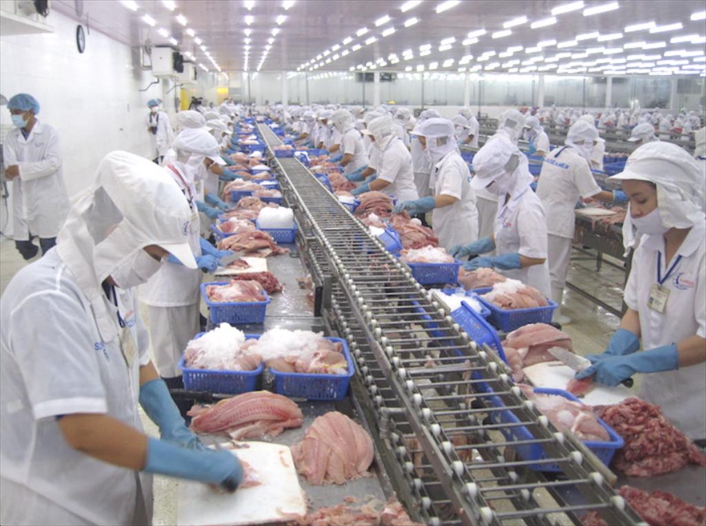 Việt Nam duy trì vị trí đối tác thứ 5 của Singapore về xuất khẩu thủy sản