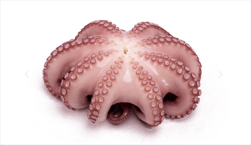 Giá bạch tuộc tăng vọt do sản lượng đánh bắt chậm ở Morocco, Mauritania