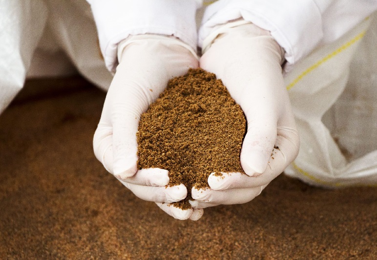 Rabobank Nuôi trồng thủy sản toàn cầu hưởng lợi khi sản lượng bột cá phục hồi 