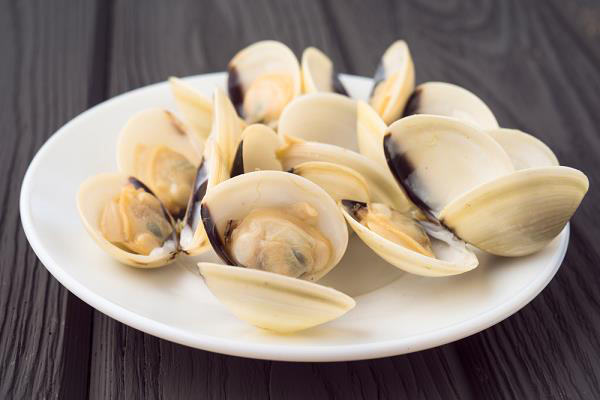 Infographic Xuất khẩu nhuyễn thể có vỏ của Việt Nam 6 tháng đầu năm 2024