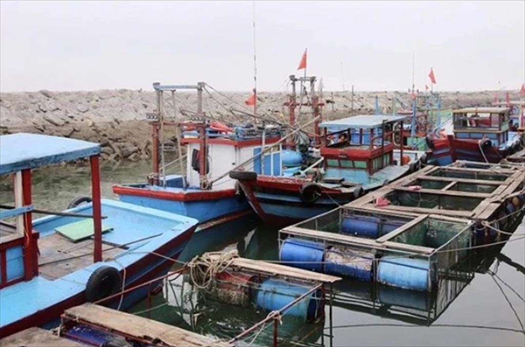 Tổng sản lượng thủy sản 6 tháng đầu năm 2024 ước đạt trên 4.384 nghìn tấn