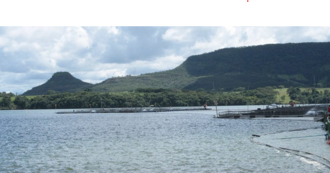 Brazil Nhập khẩu thủy sản nuôi giảm giúp thu hẹp thâm hụt thương mại thủy sản