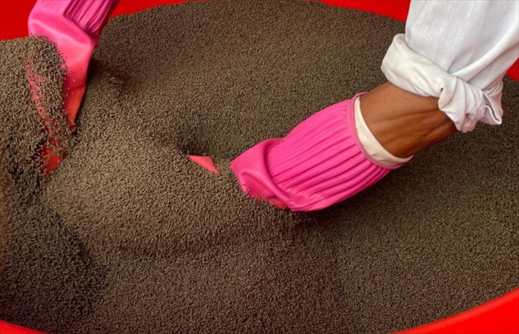 Sử dụng thức ăn có nguồn gốc từ tài nguyên bền vững