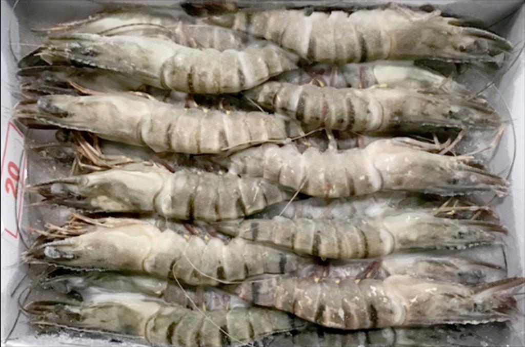 Trung Quốc Sản lượng tôm nội địa tăng ảnh hưởng tới giá tôm nhập khẩu