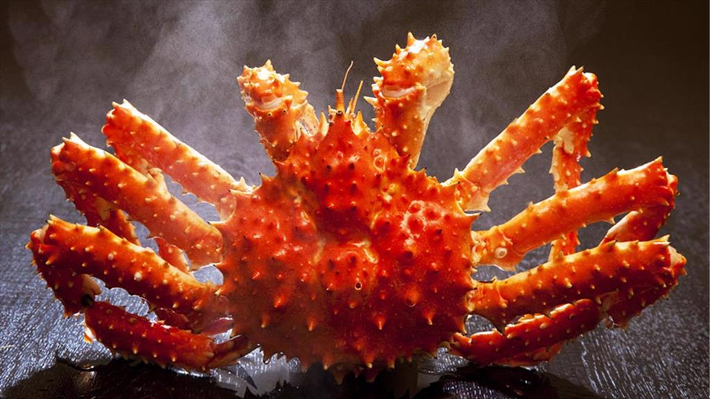 Na Uy Giá cua hoàng đế tiếp tục ở mức thấp 