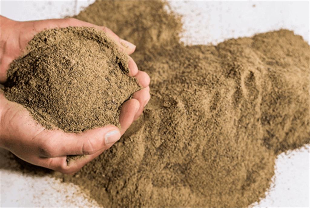 Nguồn cung dồi dào, giá bột cá hạ nhiệt 