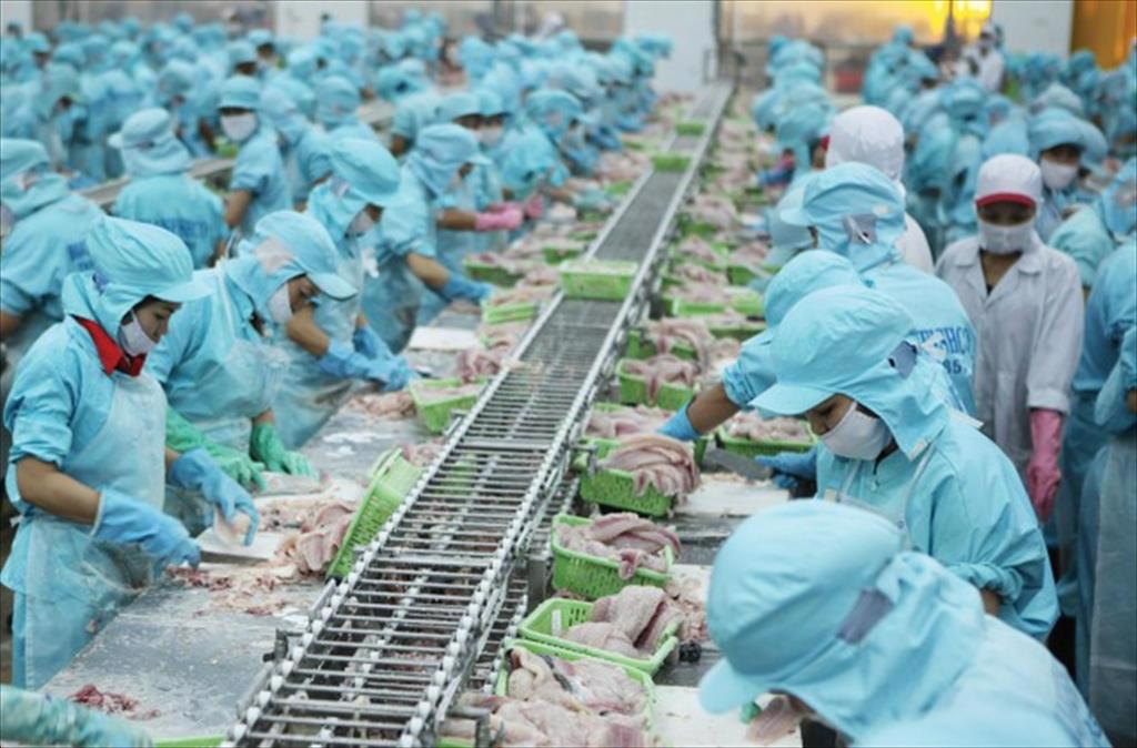 Thuế nhập khẩu thủy sản trung bình của Trung Quốc là 6,8% 