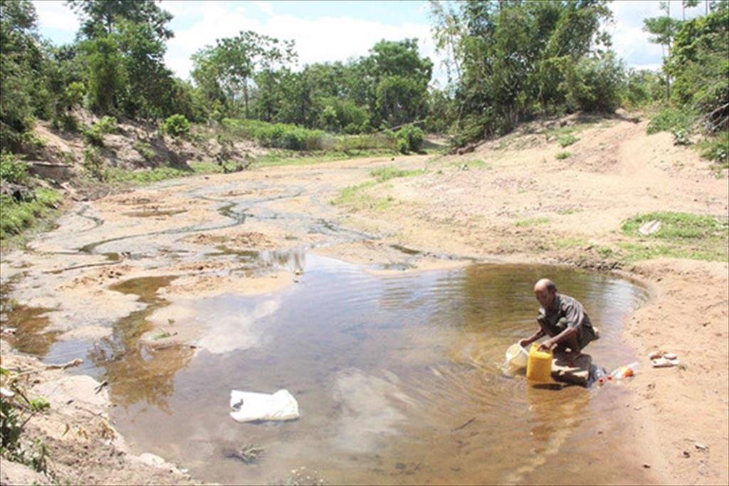 FAO Rủi ro khí hậu sẽ ảnh hưởng đến lượng cá trên khắp các đại dương