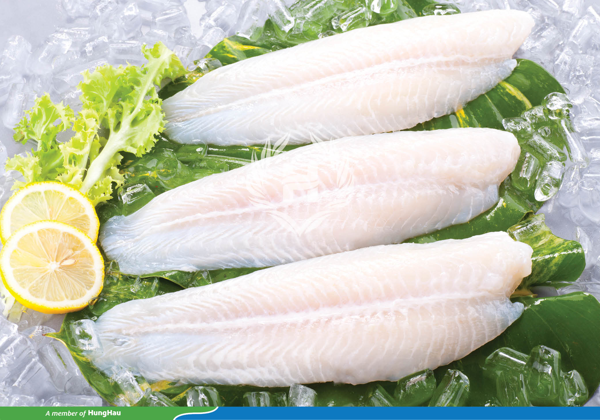 Vietnam’s pangasius exports to China reach its peak in June since the early year