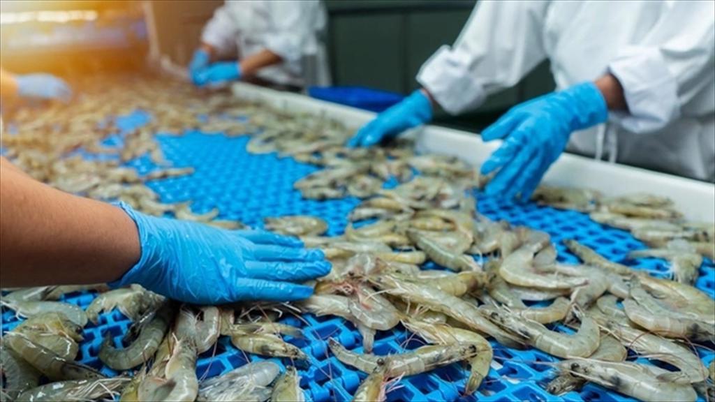 Vietnams shrimp export rises in H1 but still faces competition
