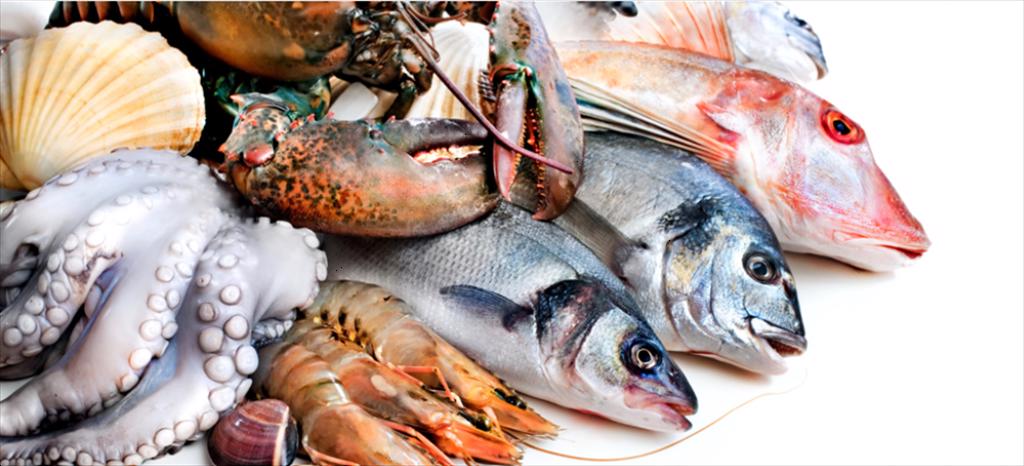 Exports of seafood products flourish with a 14% growth in July 2024